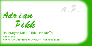 adrian pikk business card